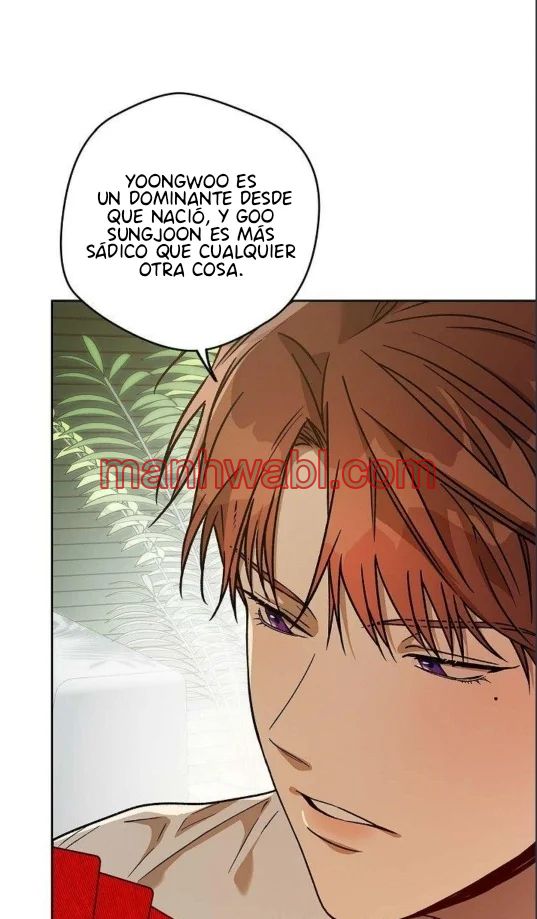 Amor Duro - Capítulo 95 manhwa
