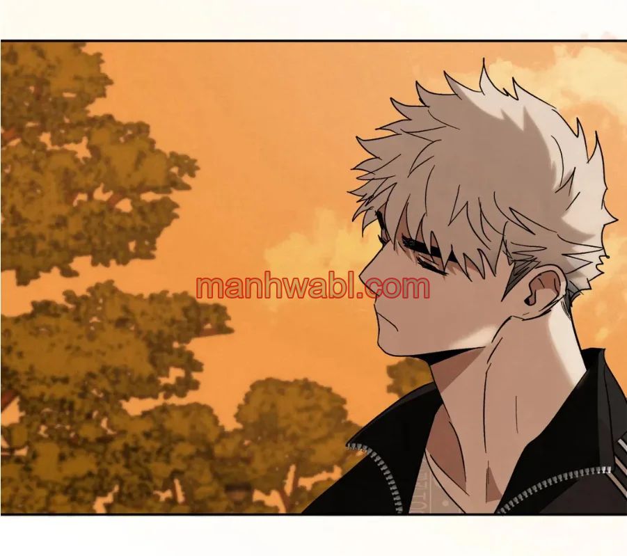 Cree en mi Señal - Capítulo 38_3 manhwa