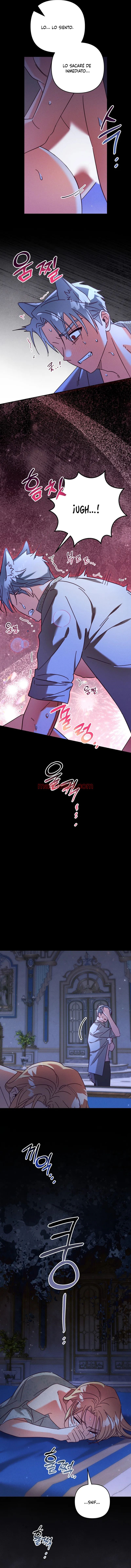 El secreto del Duque Lobo - Capítulo 17 manhwa