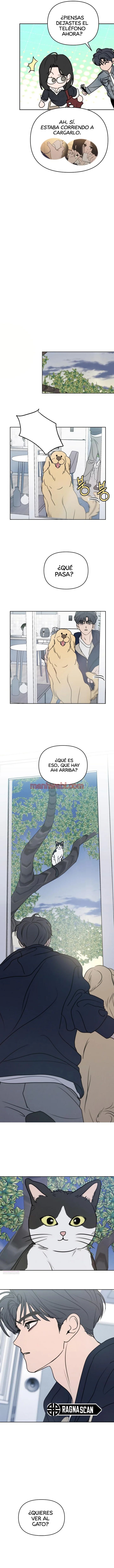 Engañada Déjame Ser - Capítulo 20_3 manhwa