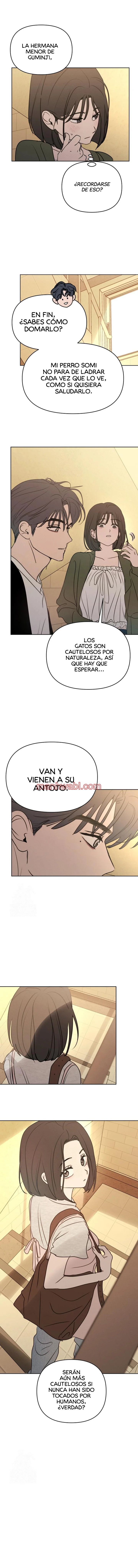 Engañada Déjame Ser - Capítulo 21 manhwa