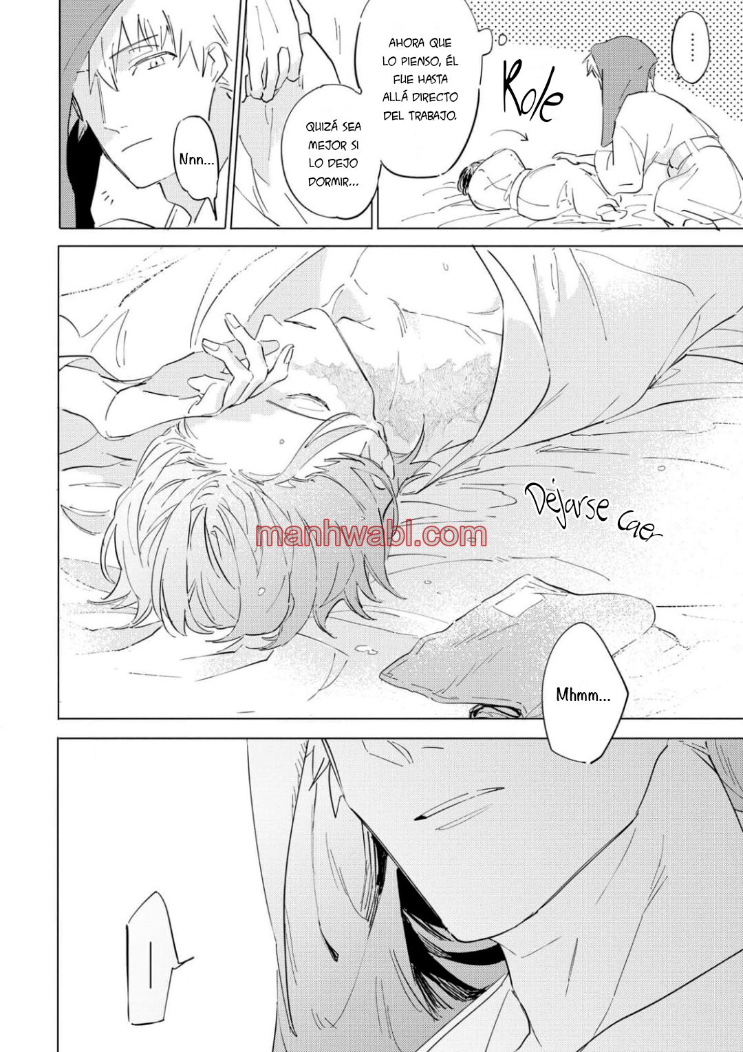 Falling Star - Capítulo 1_2 manhwa