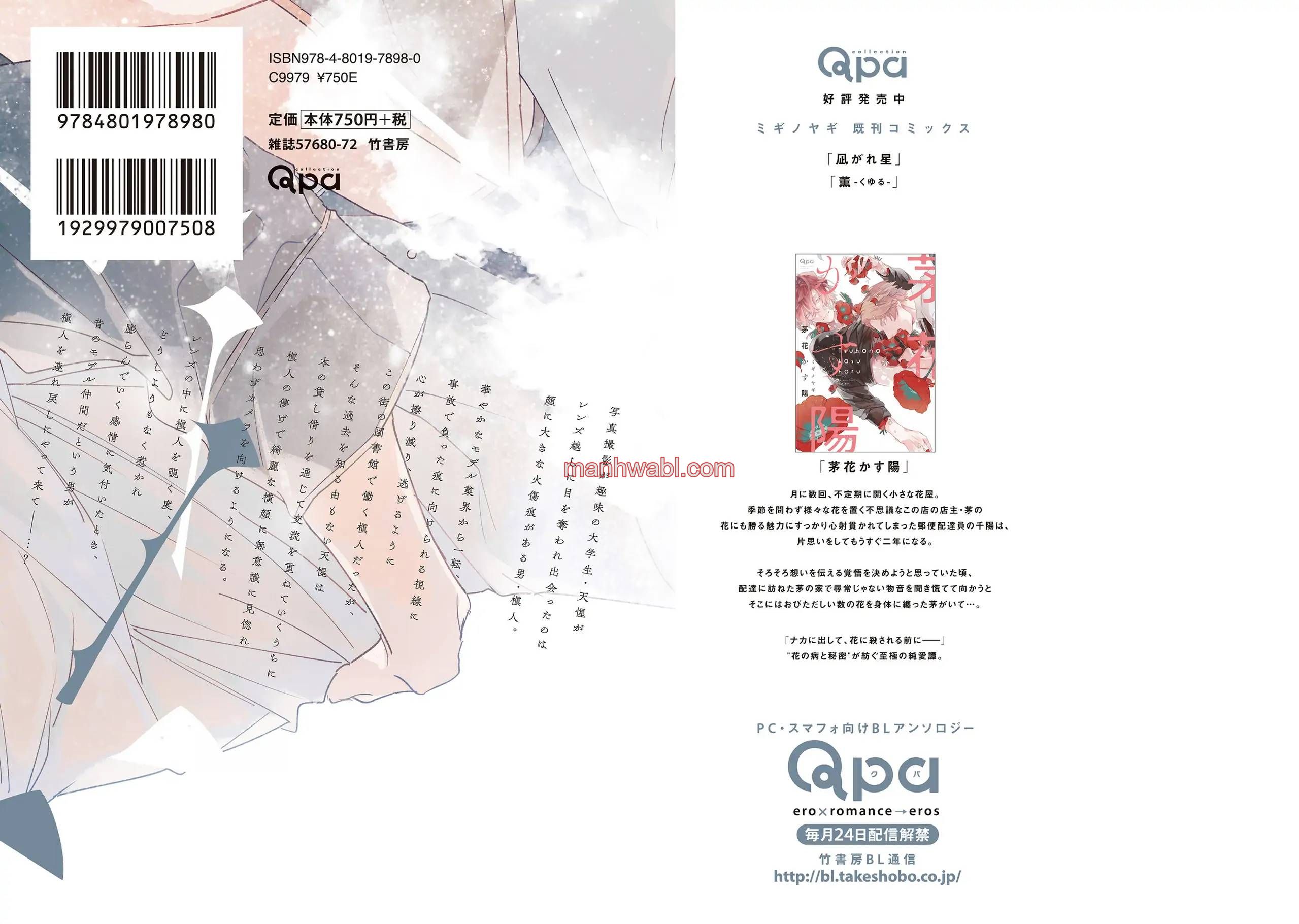 Falling Star - Capítulo 7.5_2 manhwa