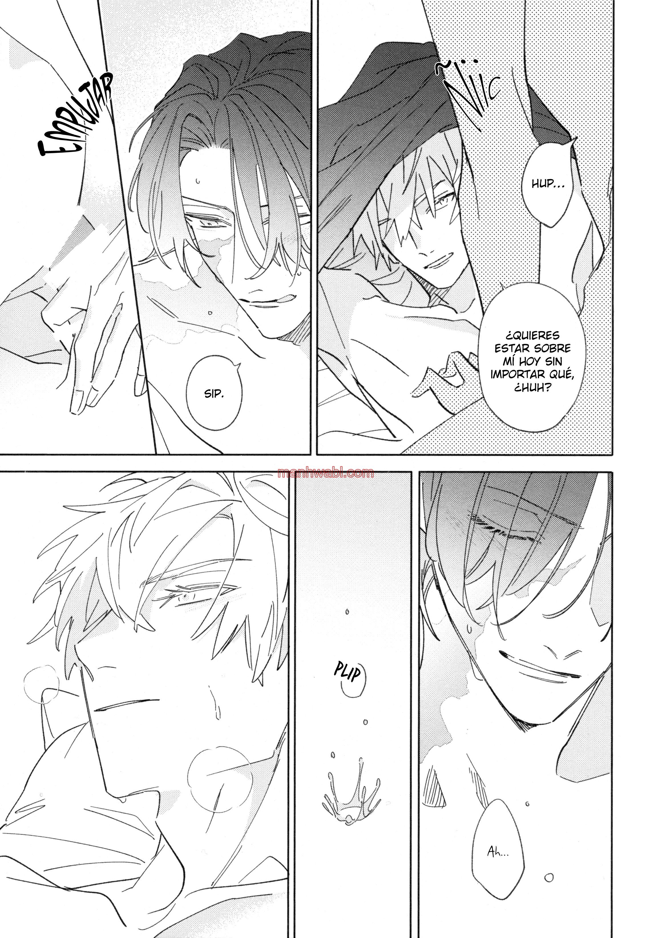 Falling Star - Capítulo 8_2 manhwa