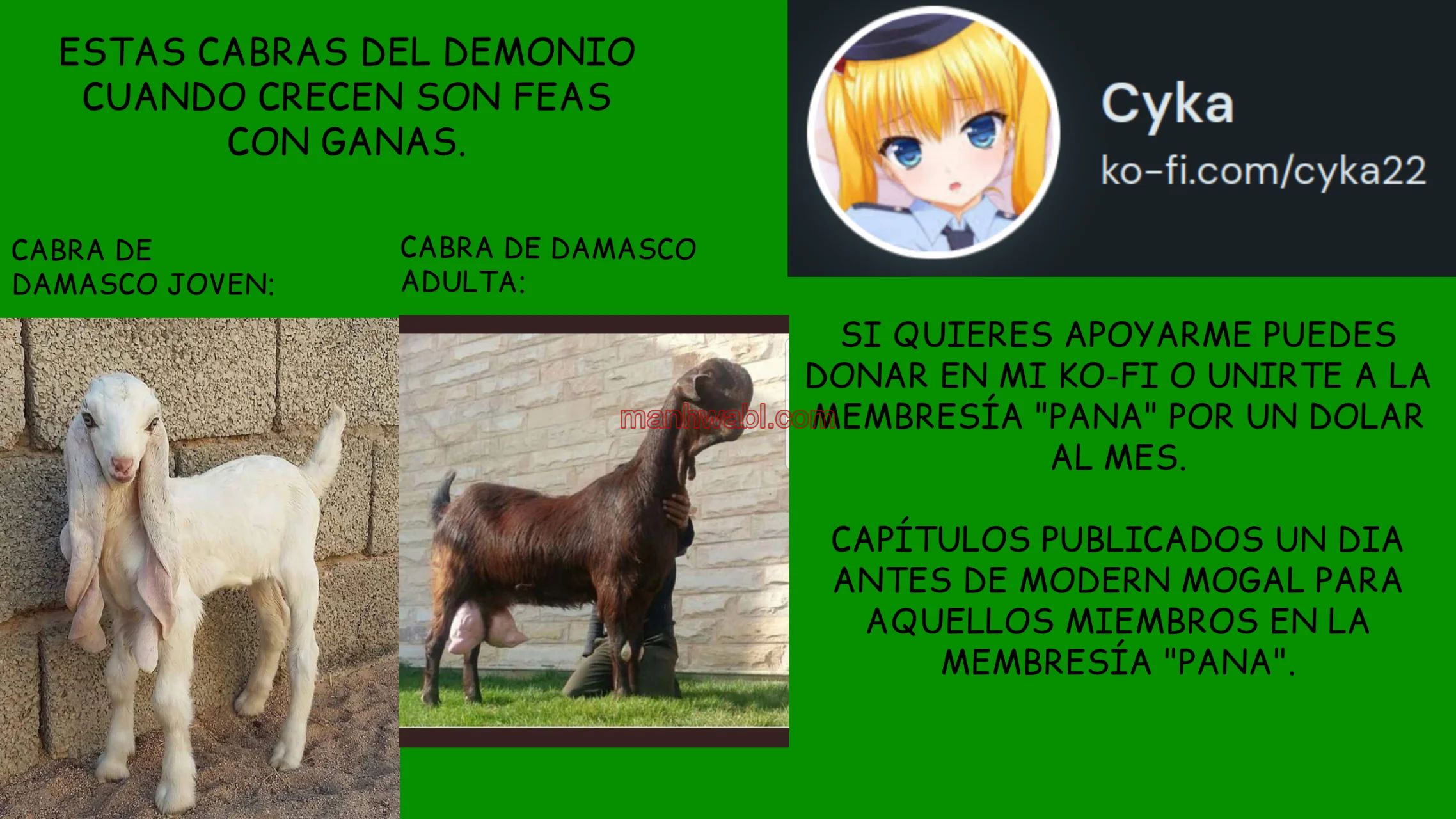 Modern mogal de shepherp0821 - Capítulo 207 manhwa