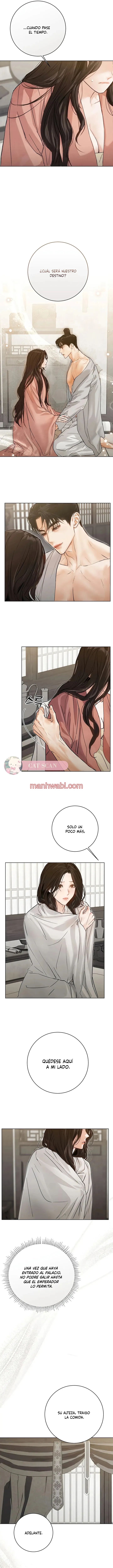 Noche vieja - Capítulo 16_3 manhwa