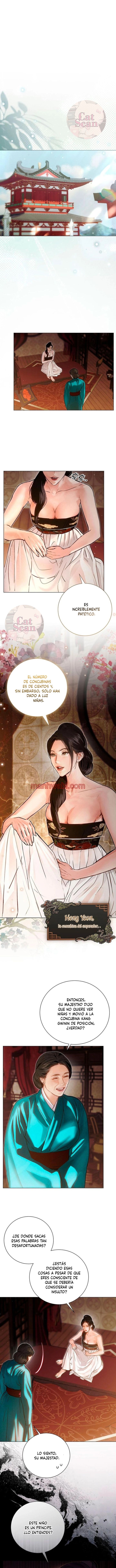 Noche vieja - Capítulo 5 manhwa