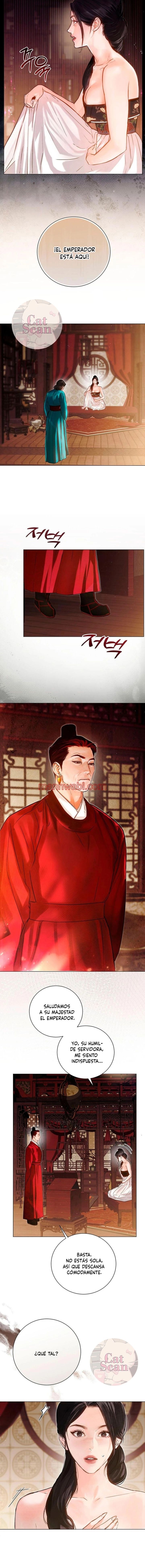 Noche vieja - Capítulo 5 manhwa