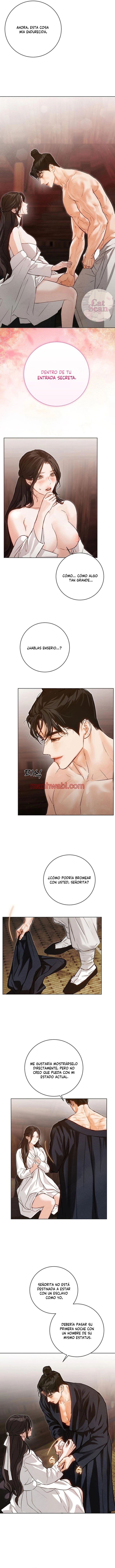 Noche vieja - Capítulo 8 manhwa