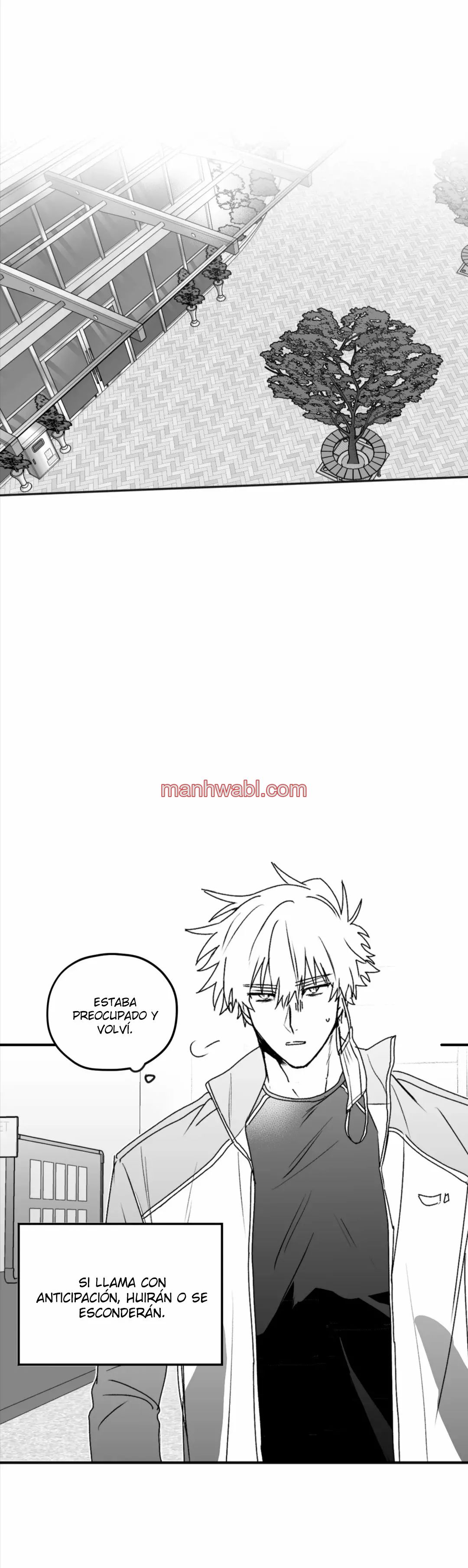 Olas Buscándote - Capítulo 19 manhwa