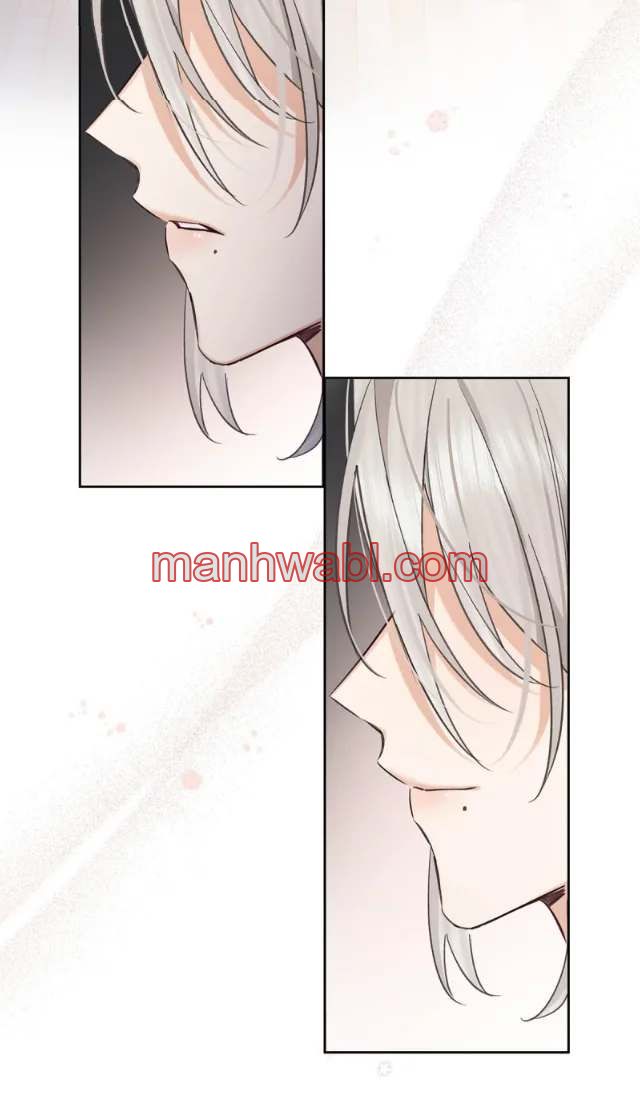 Reclamado por un lobo - Capítulo 27 manhwa