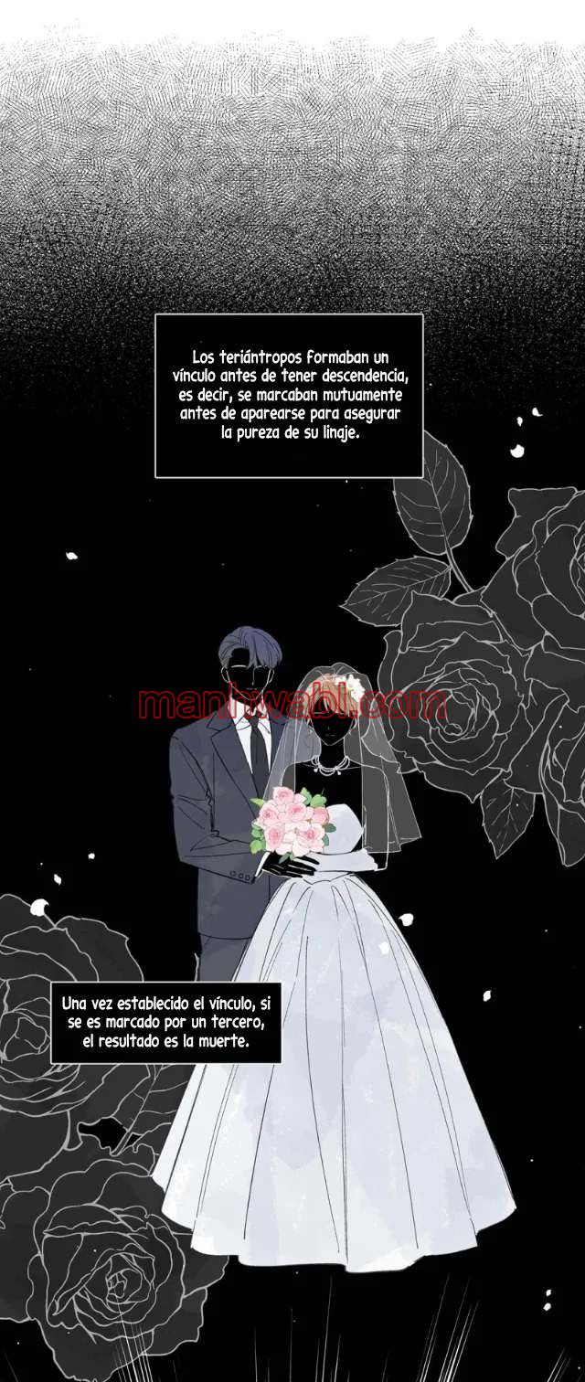 Reclamado por un lobo - Capítulo 27_2 manhwa
