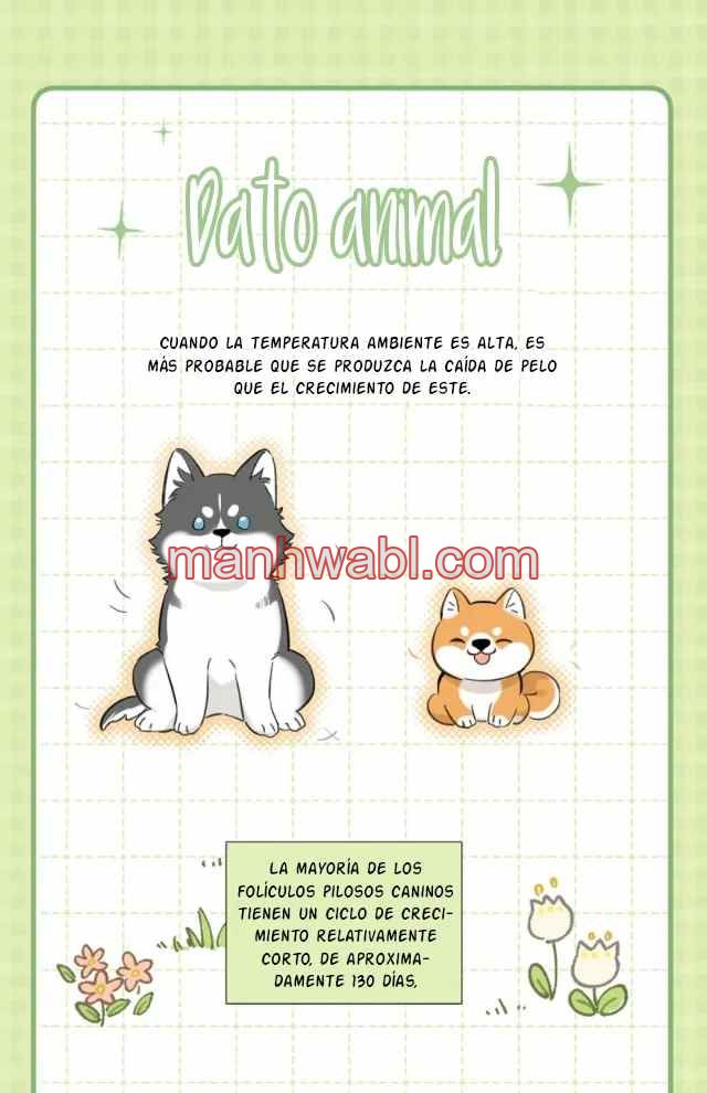 Reclamado por un lobo - Capítulo 28 manhwa