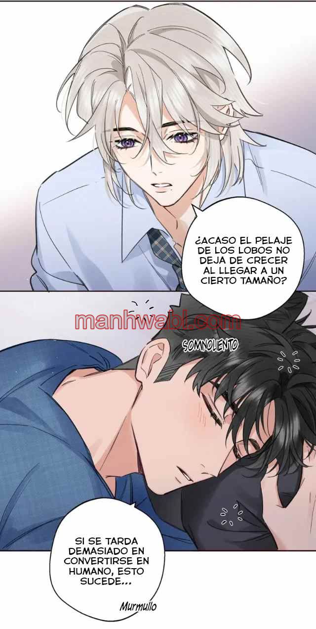 Reclamado por un lobo - Capítulo 28 manhwa