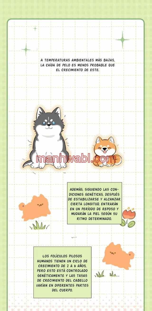 Reclamado por un lobo - Capítulo 28 manhwa