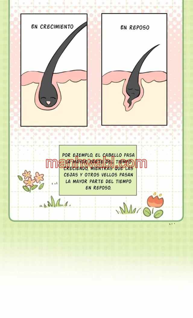 Reclamado por un lobo - Capítulo 28 manhwa