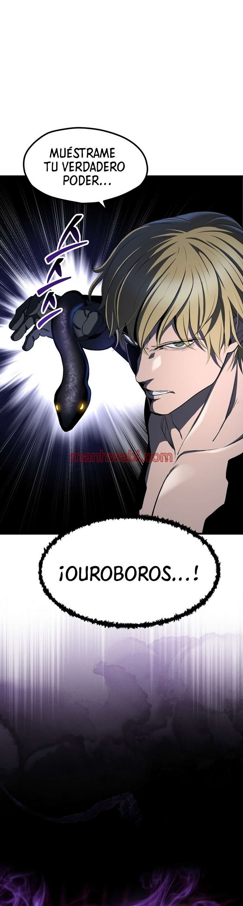 Registros de Supervivencia del Rey de la Espada - Capítulo 254 manhwa