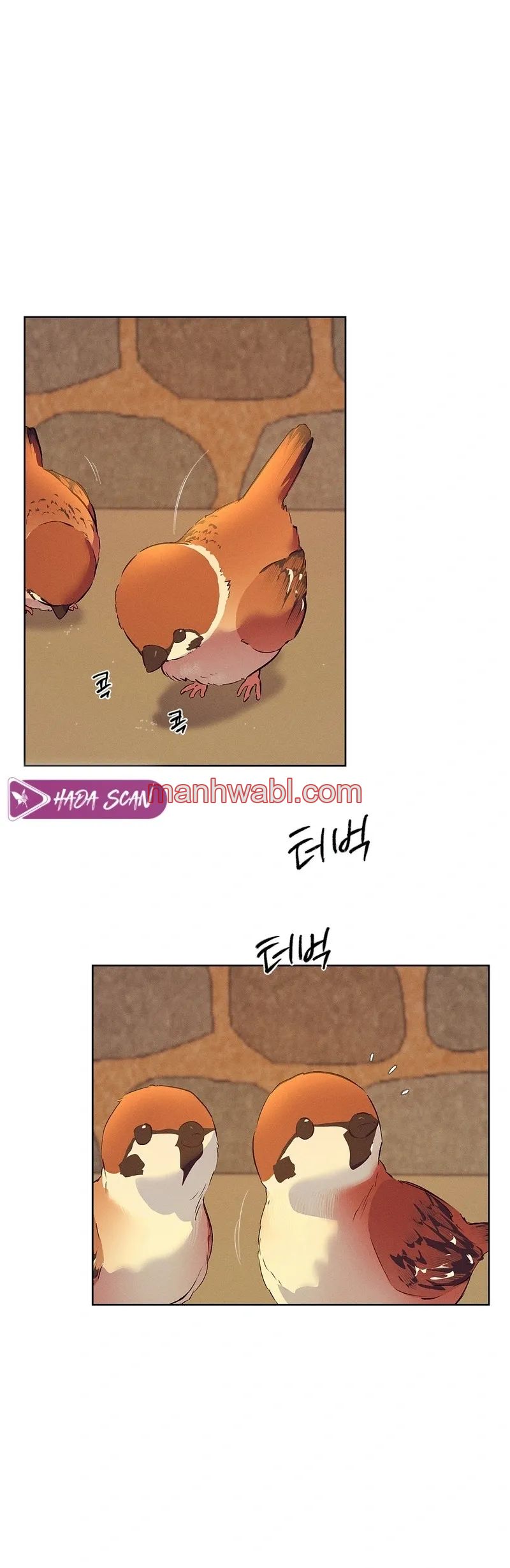 Taller de Instrumentos Chosun - Capítulo 50 manhwa