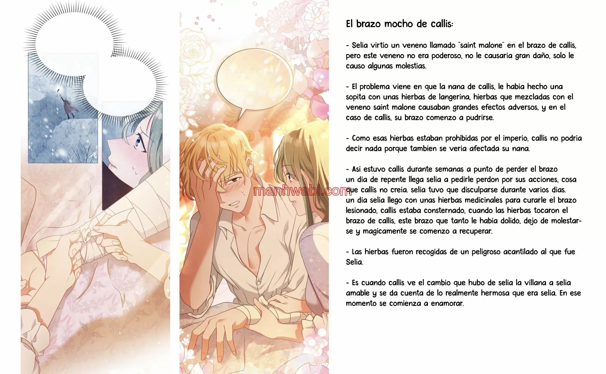 THE CIRCUMSTANCES OF A TRUE VILLAIN - Capítulo 16_3 manhwa