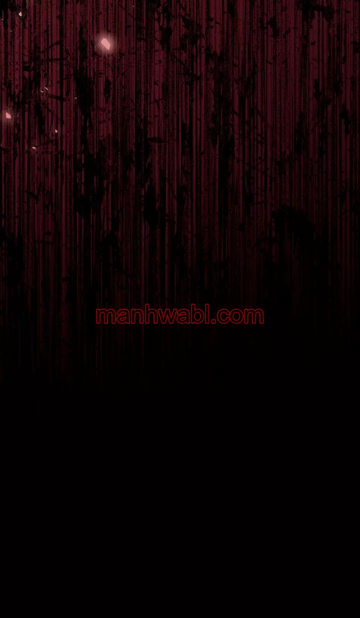 THE CIRCUMSTANCES OF A TRUE VILLAIN - Capítulo 17_2 manhwa