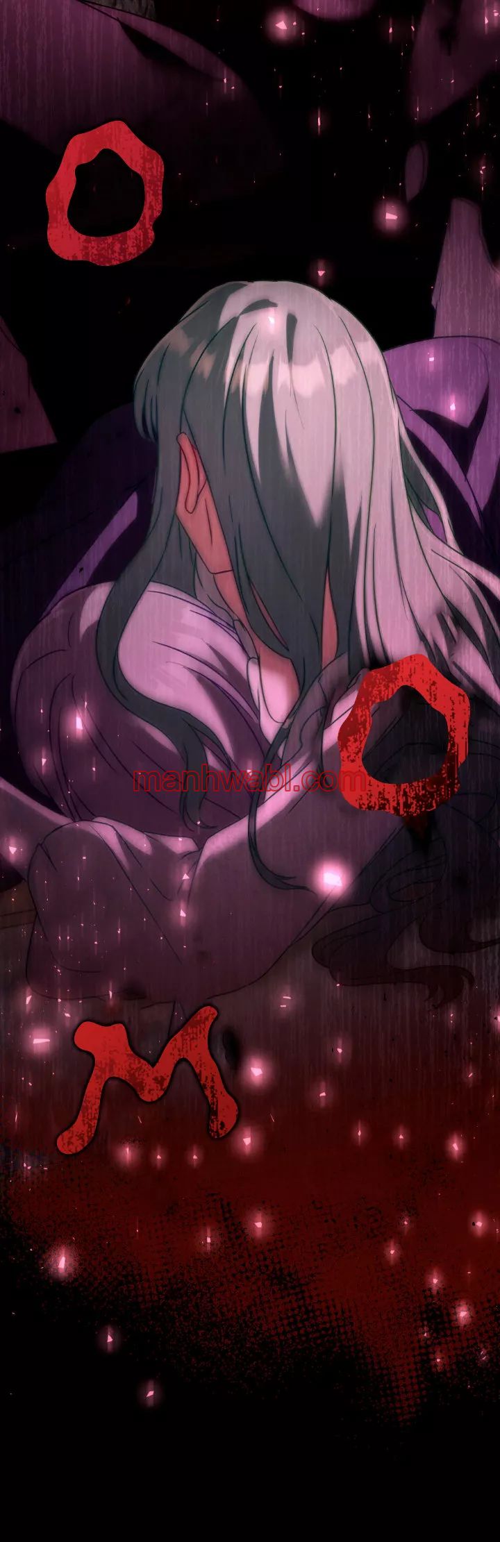 THE CIRCUMSTANCES OF A TRUE VILLAIN - Capítulo 17_2 manhwa