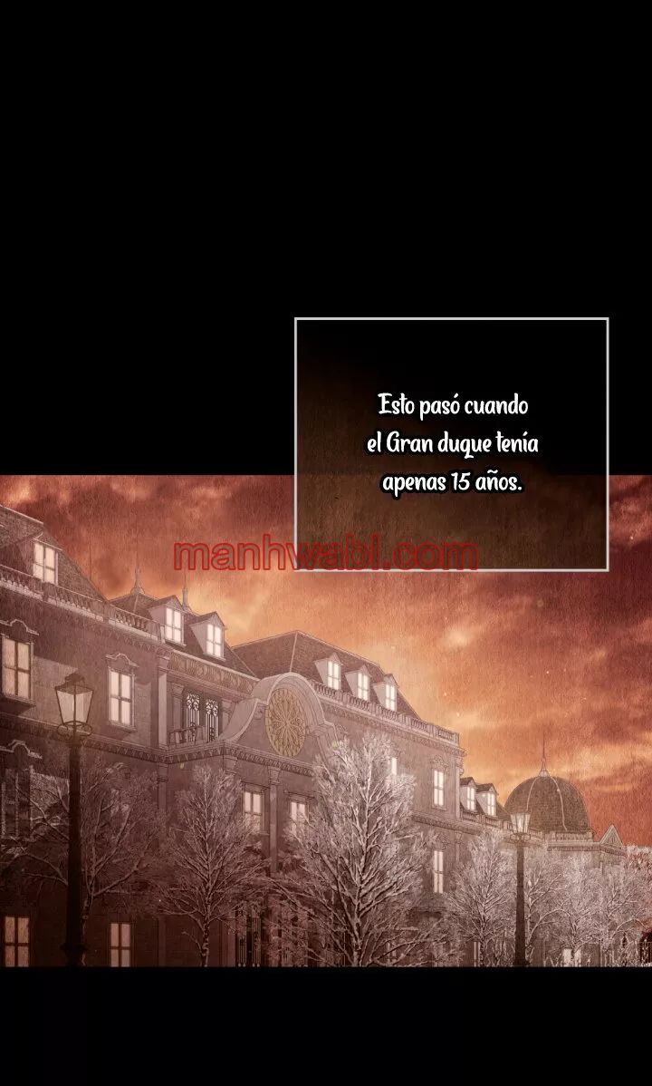 THE CIRCUMSTANCES OF A TRUE VILLAIN - Capítulo 20_3 manhwa