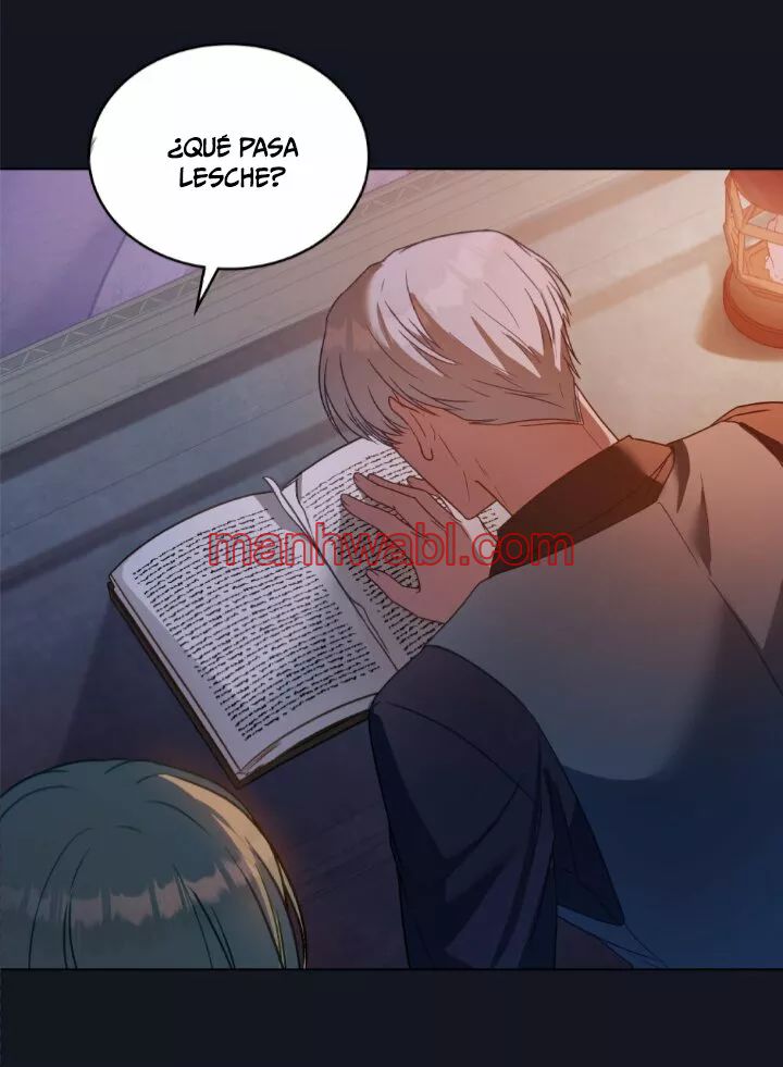 THE CIRCUMSTANCES OF A TRUE VILLAIN - Capítulo 25_2 manhwa