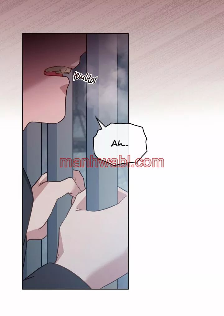 THE CIRCUMSTANCES OF A TRUE VILLAIN - Capítulo 27_2 manhwa