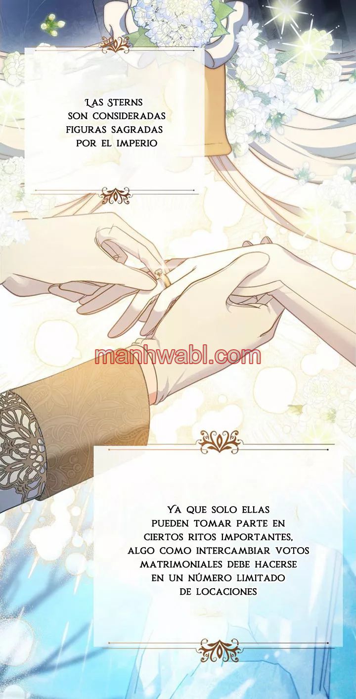 THE CIRCUMSTANCES OF A TRUE VILLAIN - Capítulo 3_2 manhwa