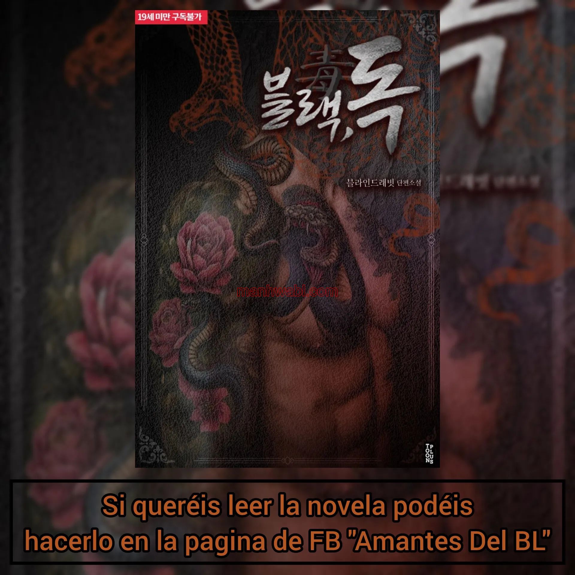 Veneno Negro - Capítulo 1_3 manhwa