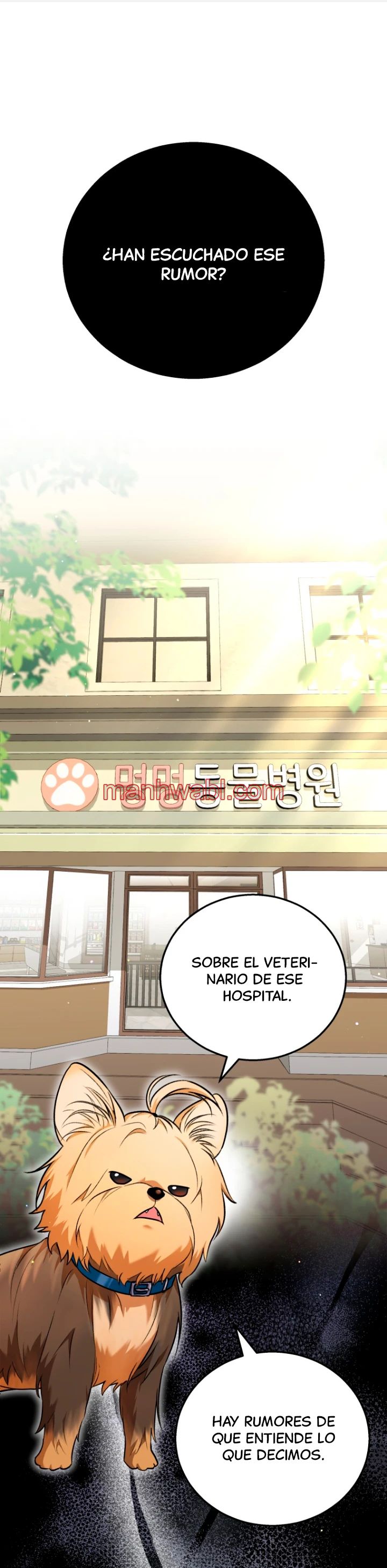 Veterinario Hola - Capítulo 1 manhwa