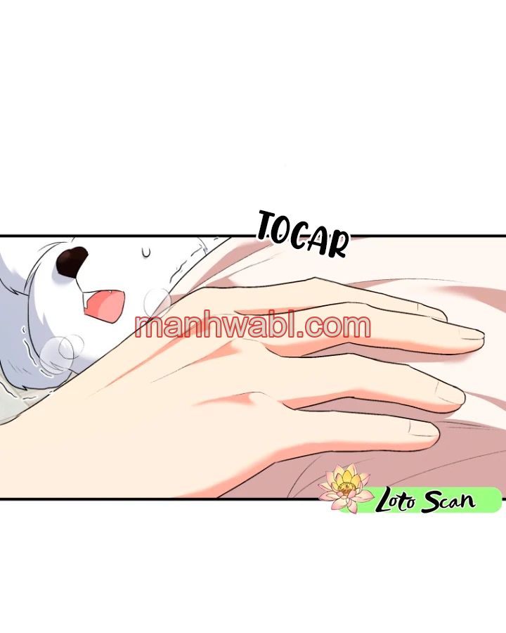 Veterinario Hola - Capítulo 1_2 manhwa