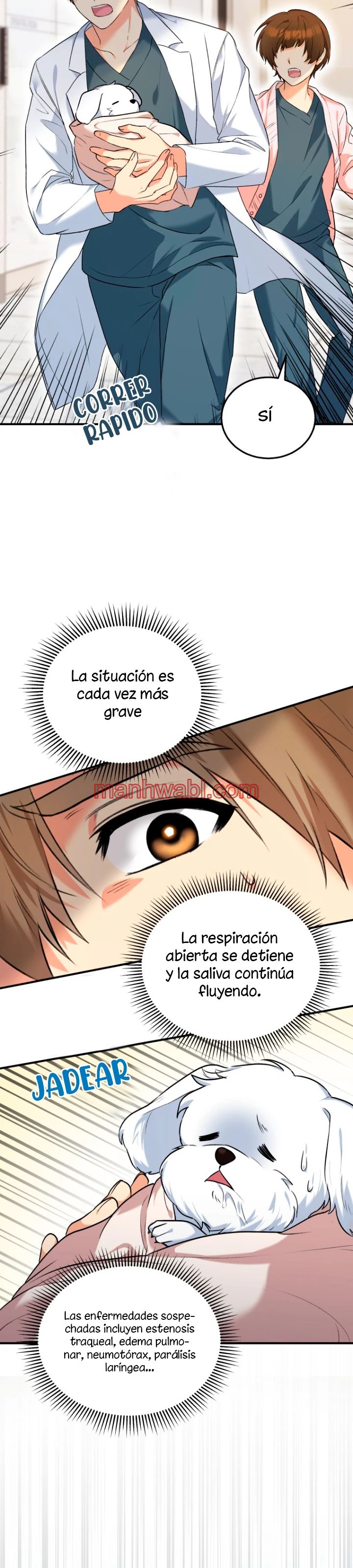 Veterinario Hola - Capítulo 1_2 manhwa