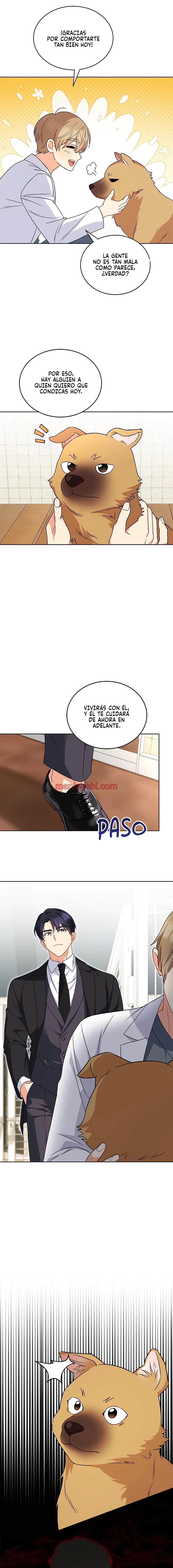 Veterinario Hola - Capítulo 20_2 manhwa