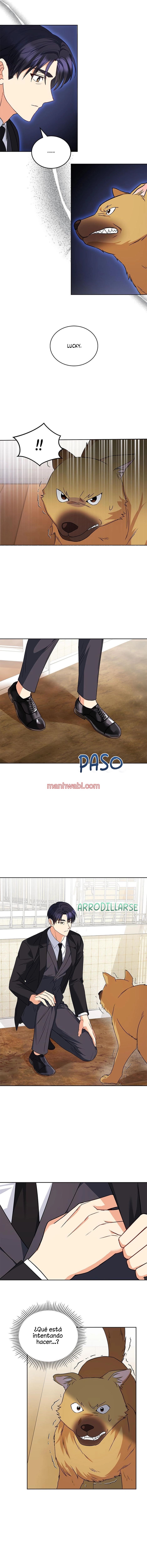 Veterinario Hola - Capítulo 20_3 manhwa