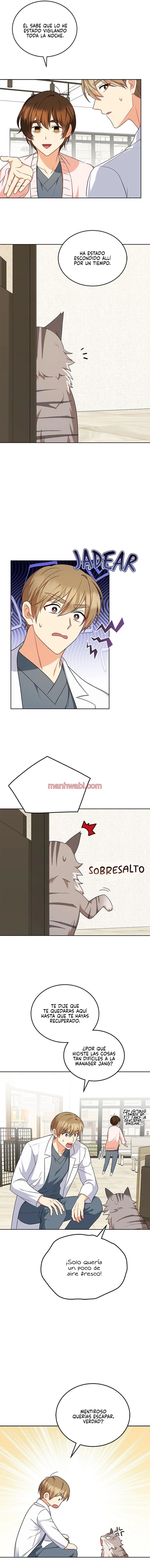 Veterinario Hola - Capítulo 21 manhwa