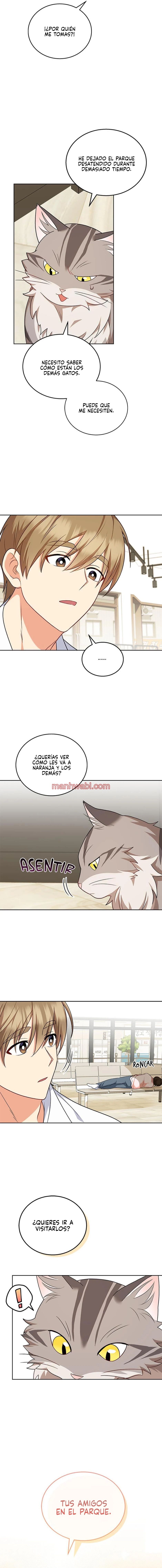 Veterinario Hola - Capítulo 21 manhwa