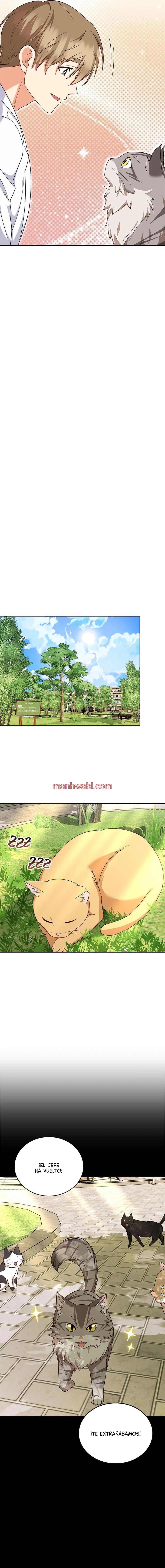 Veterinario Hola - Capítulo 21 manhwa