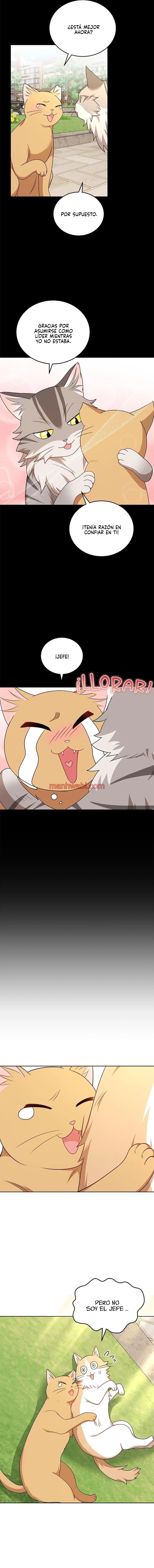 Veterinario Hola - Capítulo 21_2 manhwa