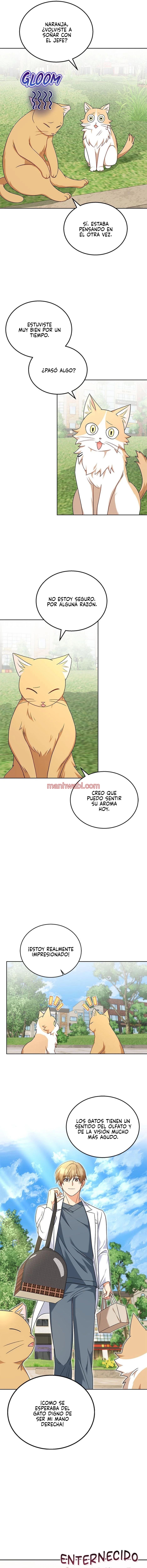 Veterinario Hola - Capítulo 21_2 manhwa