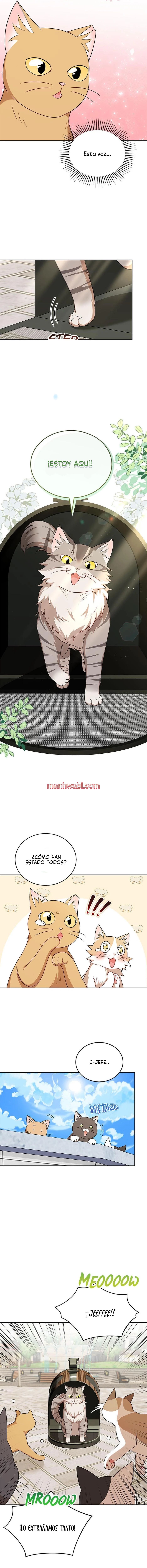 Veterinario Hola - Capítulo 21_2 manhwa