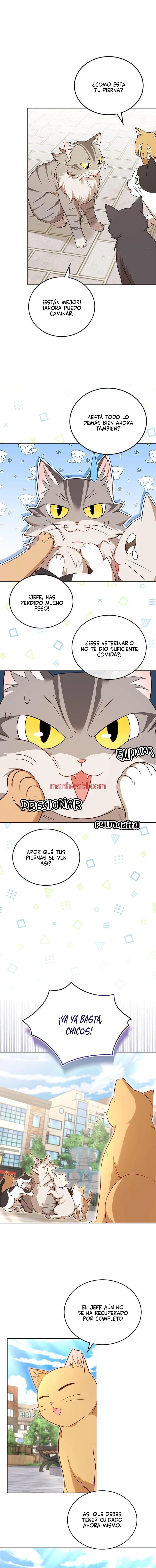 Veterinario Hola - Capítulo 21_2 manhwa