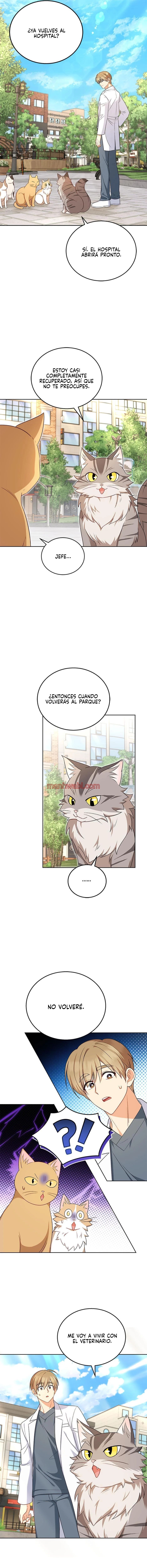 Veterinario Hola - Capítulo 21_3 manhwa