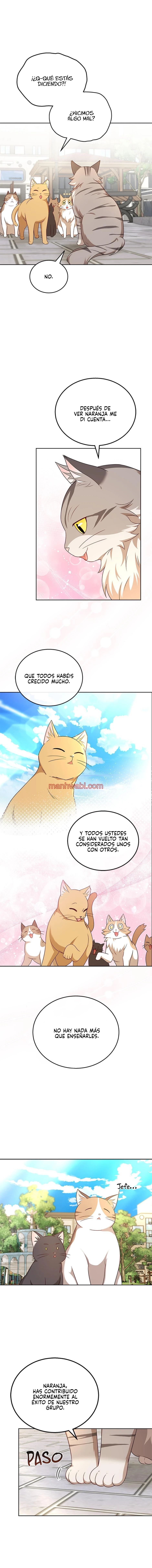 Veterinario Hola - Capítulo 21_3 manhwa