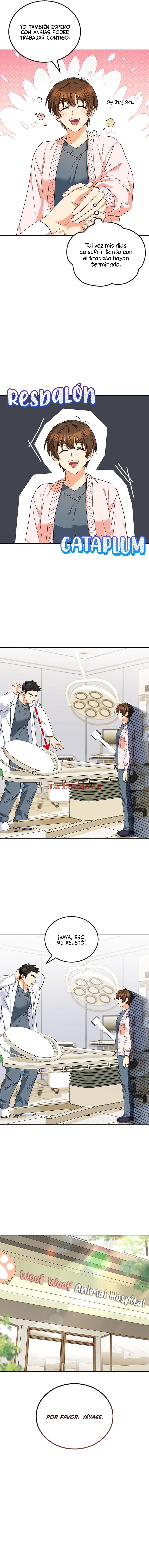 Veterinario Hola - Capítulo 22 manhwa
