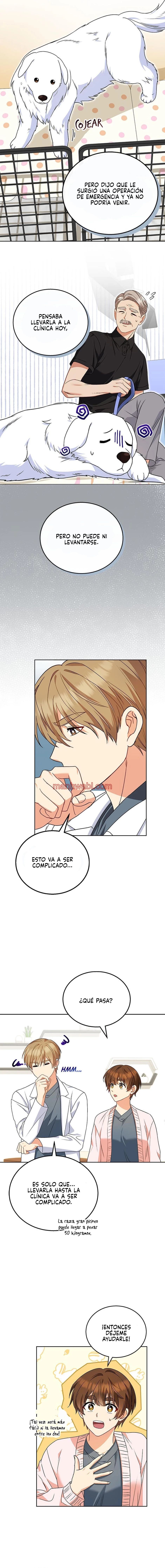 Veterinario Hola - Capítulo 22_2 manhwa