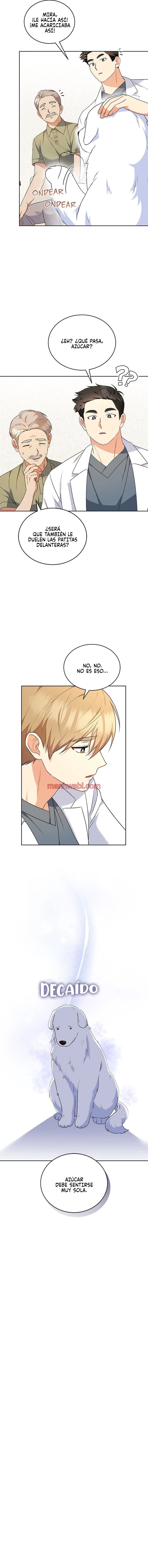 Veterinario Hola - Capítulo 24 manhwa
