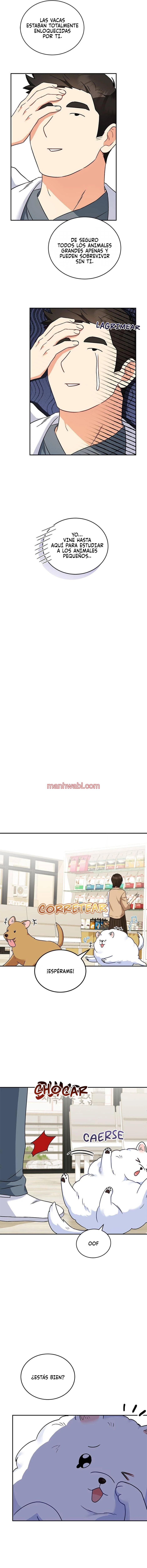 Veterinario Hola - Capítulo 24_3 manhwa