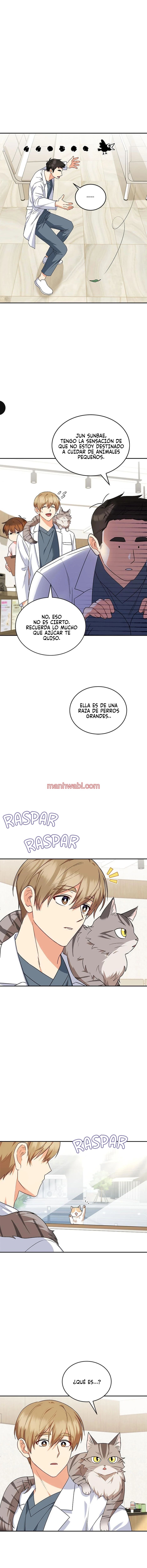 Veterinario Hola - Capítulo 24_3 manhwa