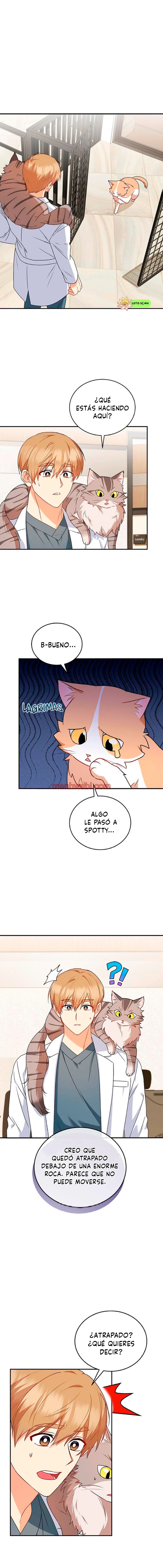 Veterinario Hola - Capítulo 25 manhwa